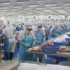 Vượt rào cản, xuất khẩu thủy sản hướng đến con số 10 tỷ USD